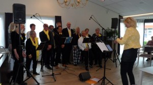 Optreden 4 april 2014 in de Zandstee in 't Zand (NH)